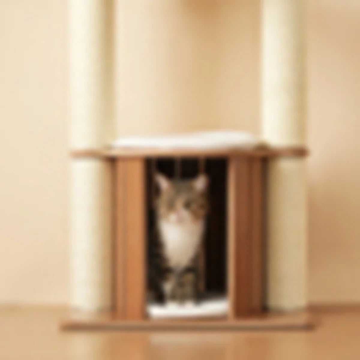 Arbre à Chat XXL Le Tronc Costaud