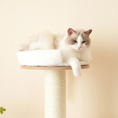 Arbre à Chat XXL Le Tronc Costaud