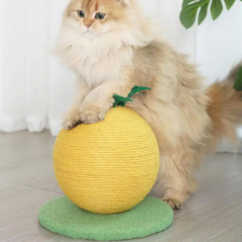 Boule à Chat Fruit Sisal - Jouet Griffoir Ludique