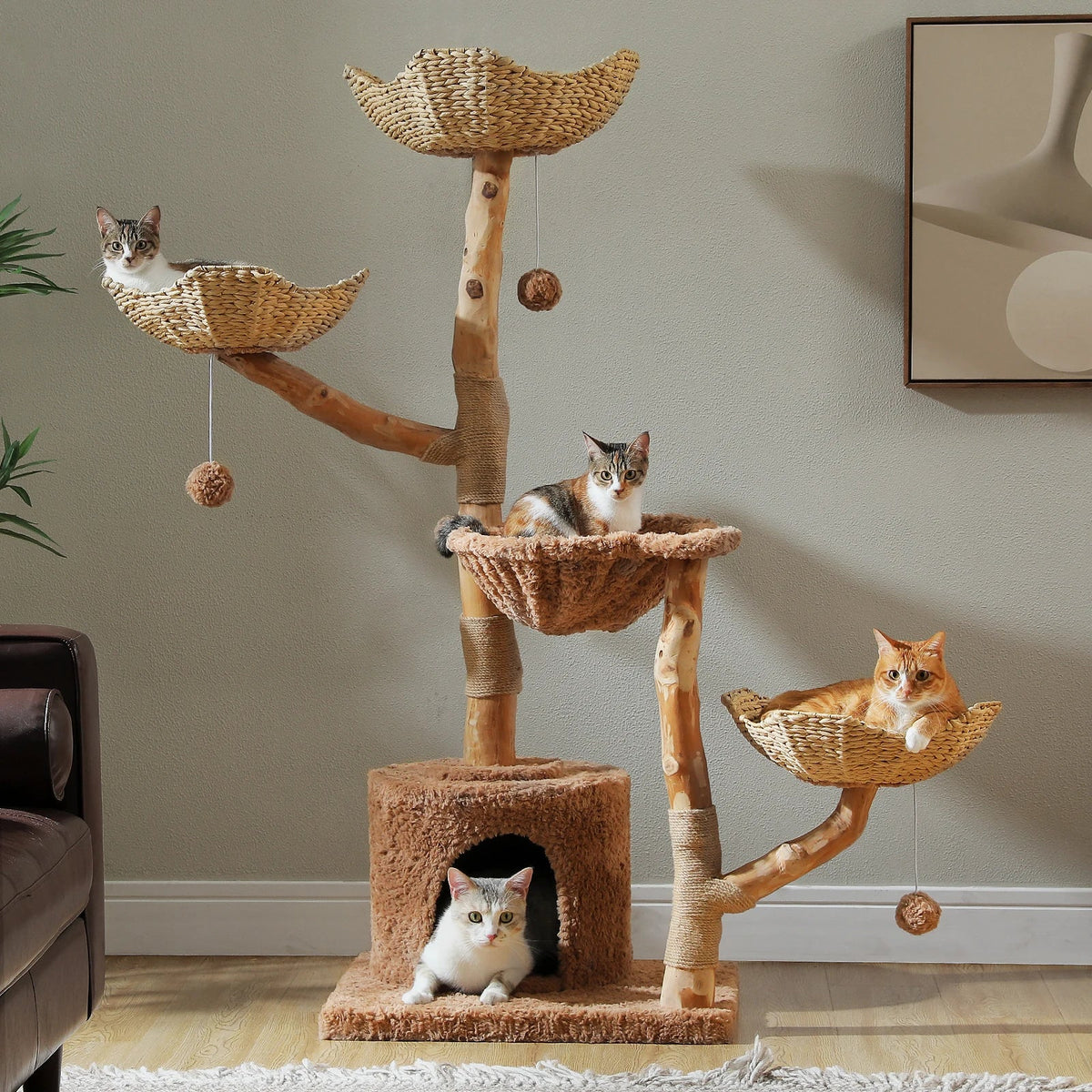 Arbre à Chat Design "Le Jardin Suspendu" 150cm Bois Massif