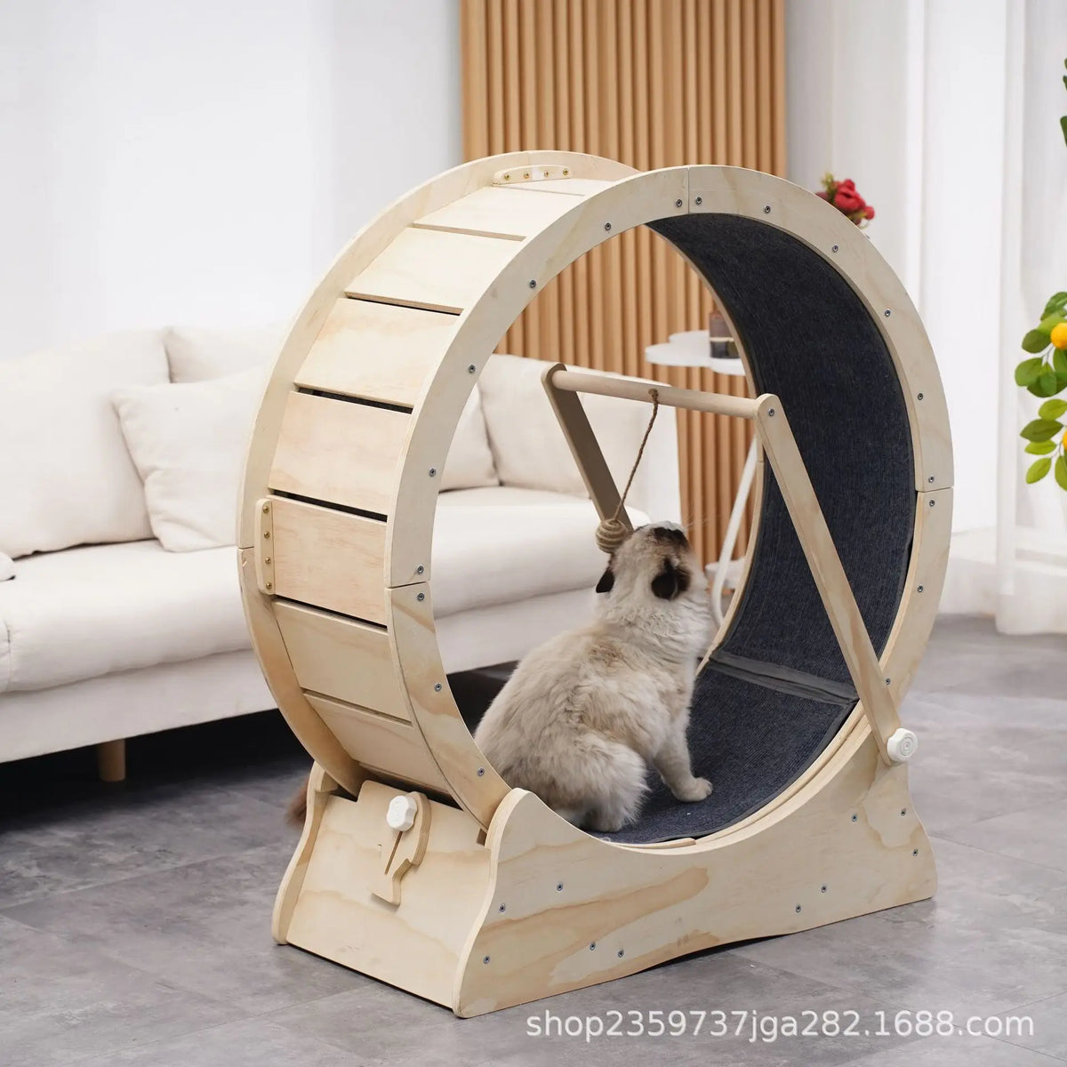 Roue de Course Silencieuse en Bois pour Chat