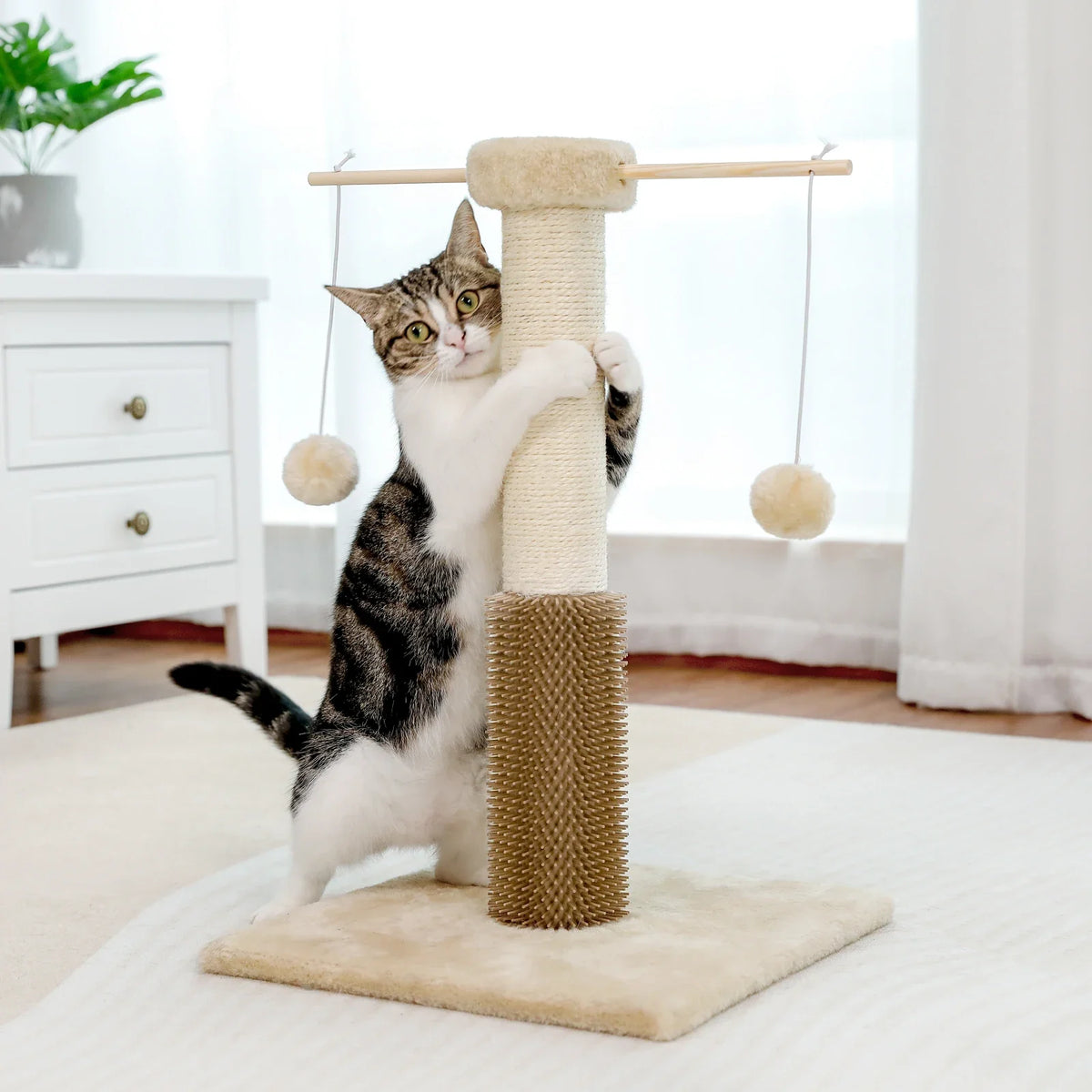 PawsPlay : Arbre à chat compact avec griffoir et jouets