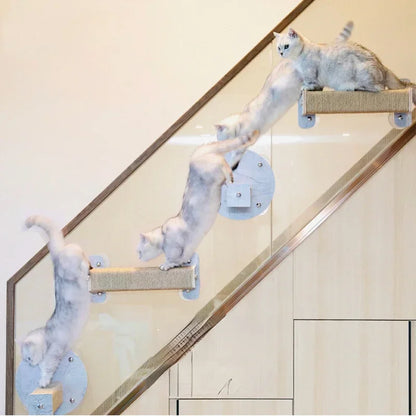 Arbre à Chat Mural VueMiaou : Vue Panoramique 360°