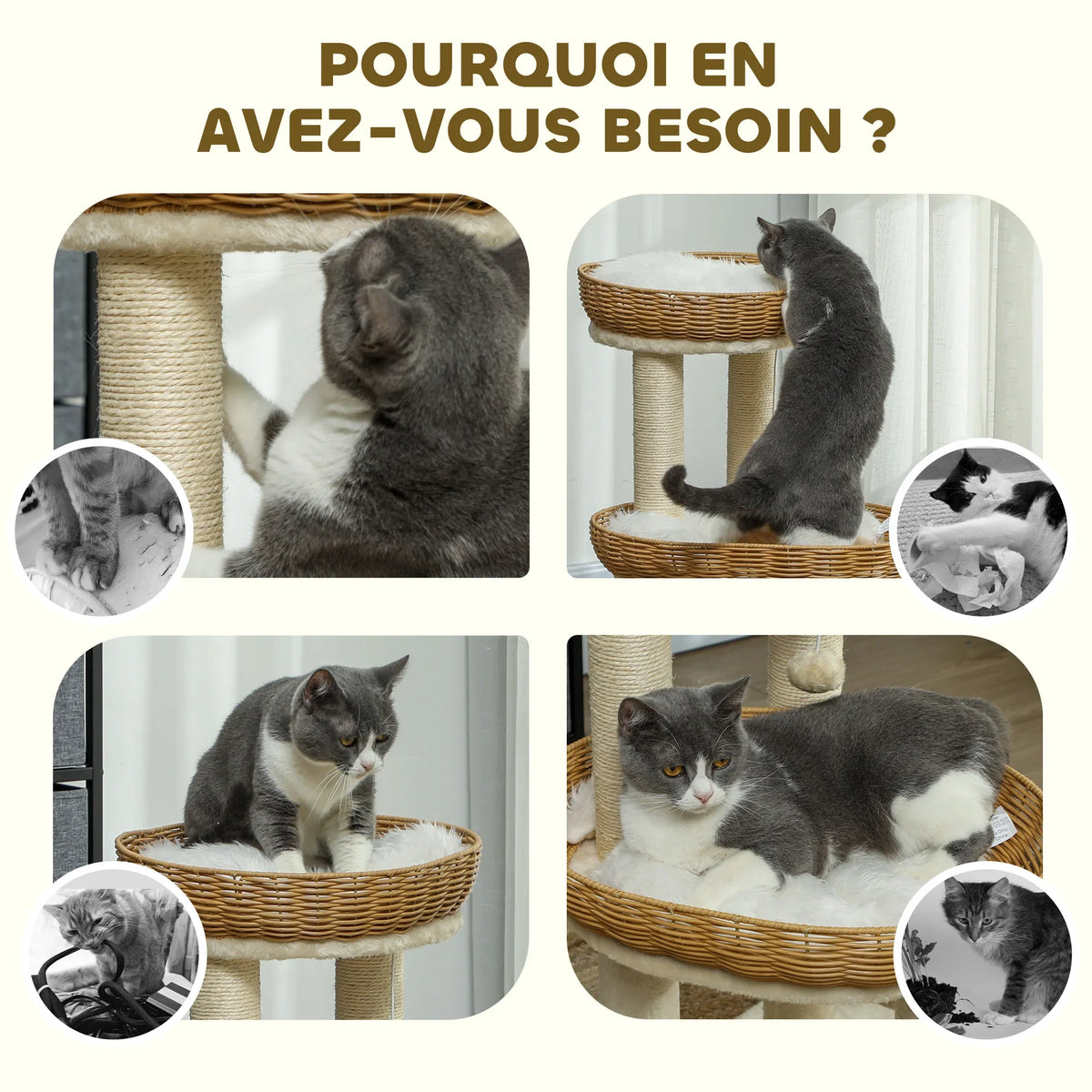 Arbre à Chat "Le Petit Osier" - Rotin & Sisal