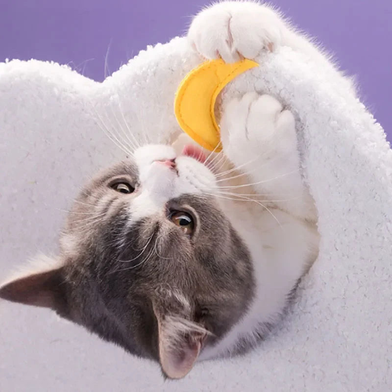 Arbre à Chat RêveCéleste : Paradis Onirique Violet & Blanc