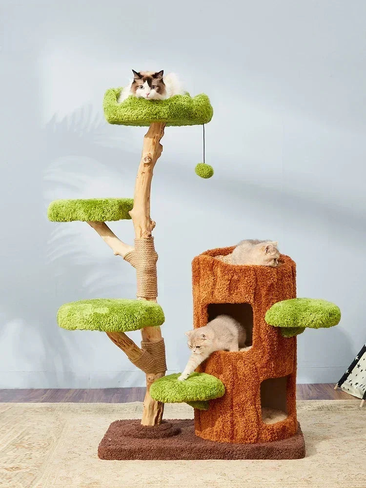 Arbre à Chat Design HavreChat : Élégance et Confort Félin