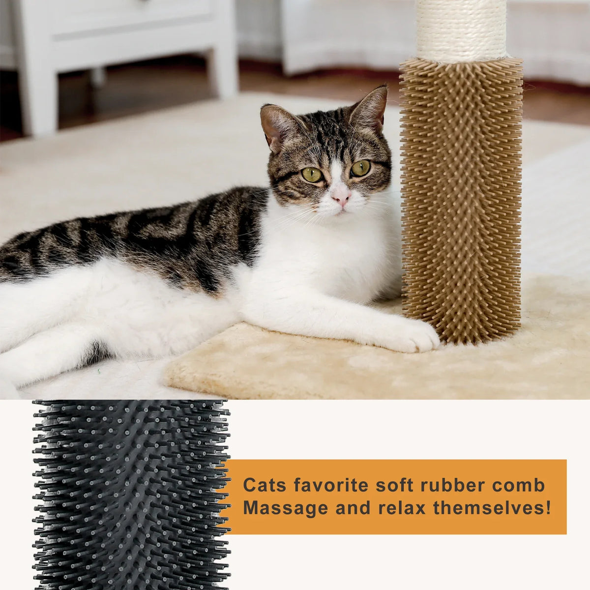 PawsPlay : Arbre à chat compact avec griffoir et jouets