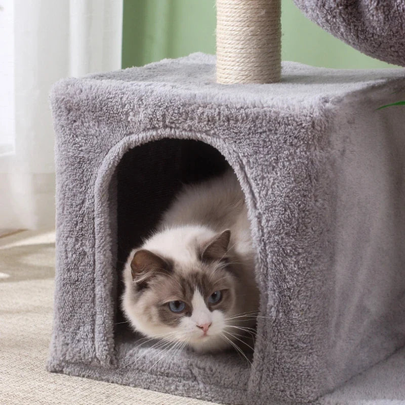 Arbre à Chat Minetopia : Hamac Douillet & Griffoirs Sisal