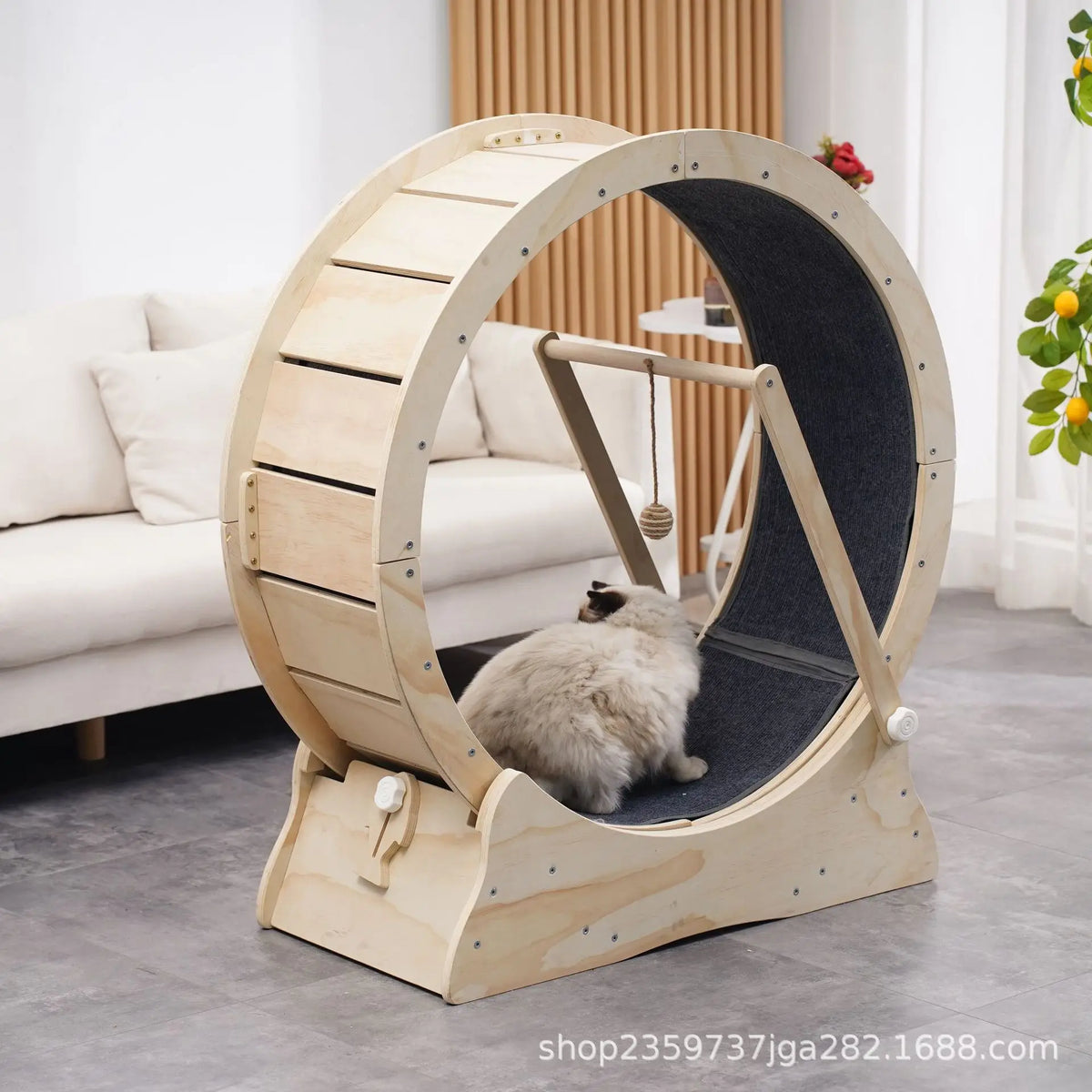 Roue de Course Silencieuse en Bois pour Chat