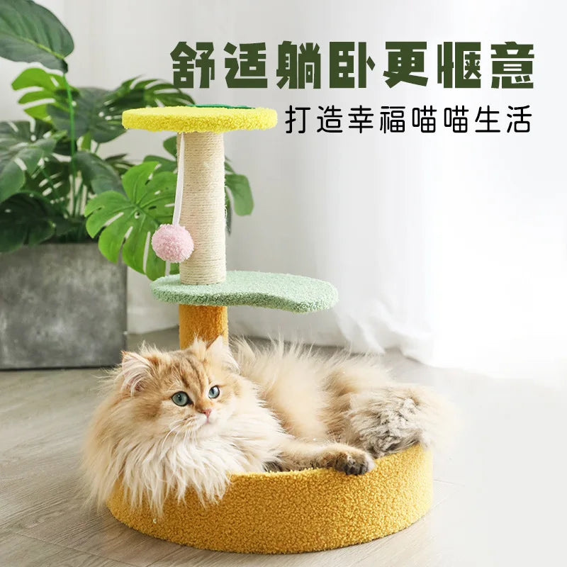 Arbre à Chat Teddy Compact Jouet Sisal Doux
