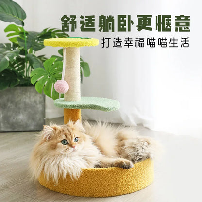 Arbre à Chat Teddy Compact Jouet Sisal Doux