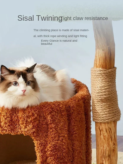 Arbre à Chat Design HavreChat : Élégance et Confort Félin