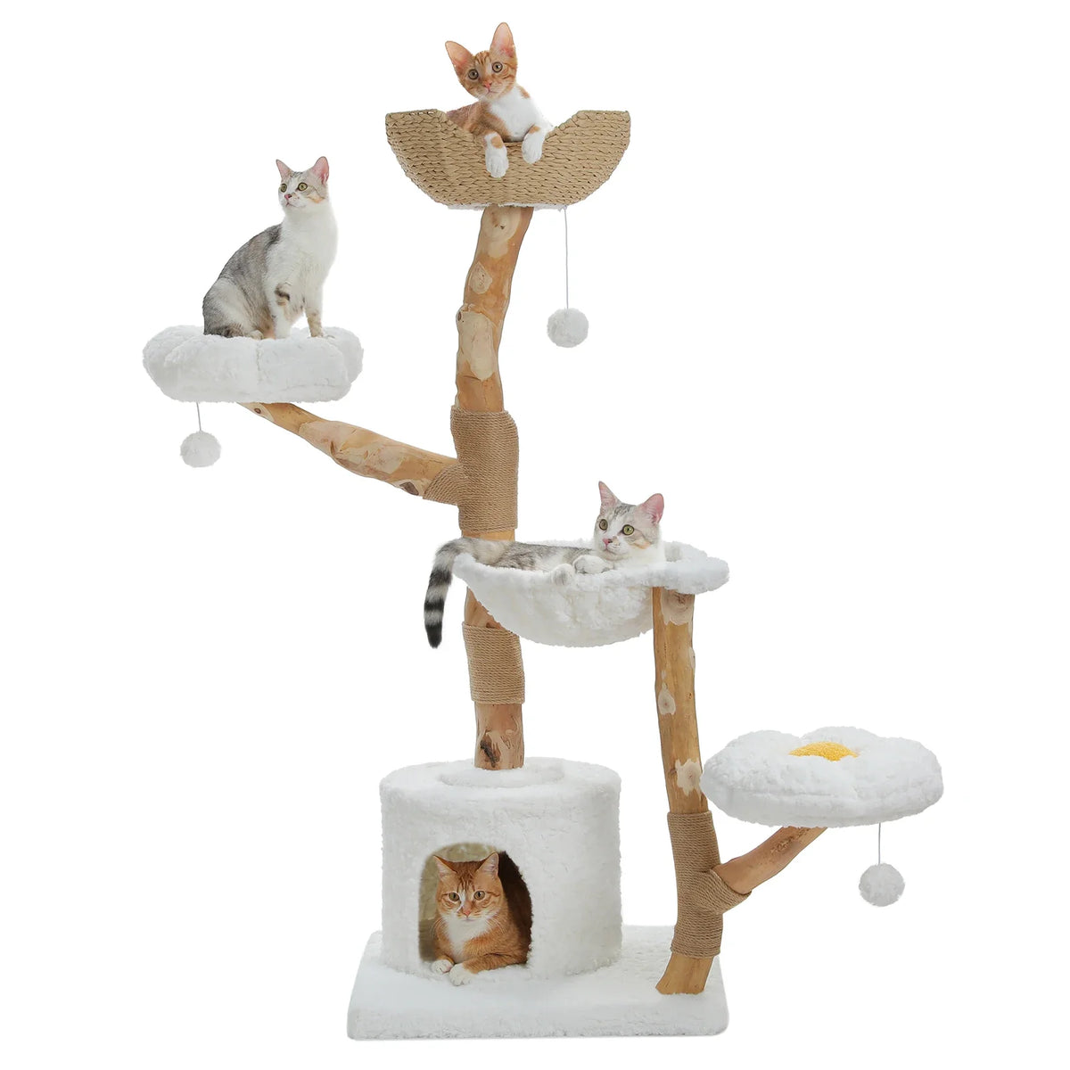 Arbre à Chat Design "Le Jardin Suspendu" 150cm Bois Massif
