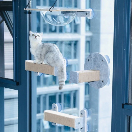 Arbre à Chat Mural VueMiaou : Vue Panoramique 360°