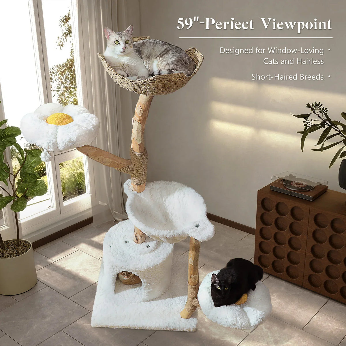 Arbre à Chat Design "Le Jardin Suspendu" 150cm Bois Massif