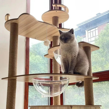 Arbre à Chat La Tour Sisal : Confort & Jeu