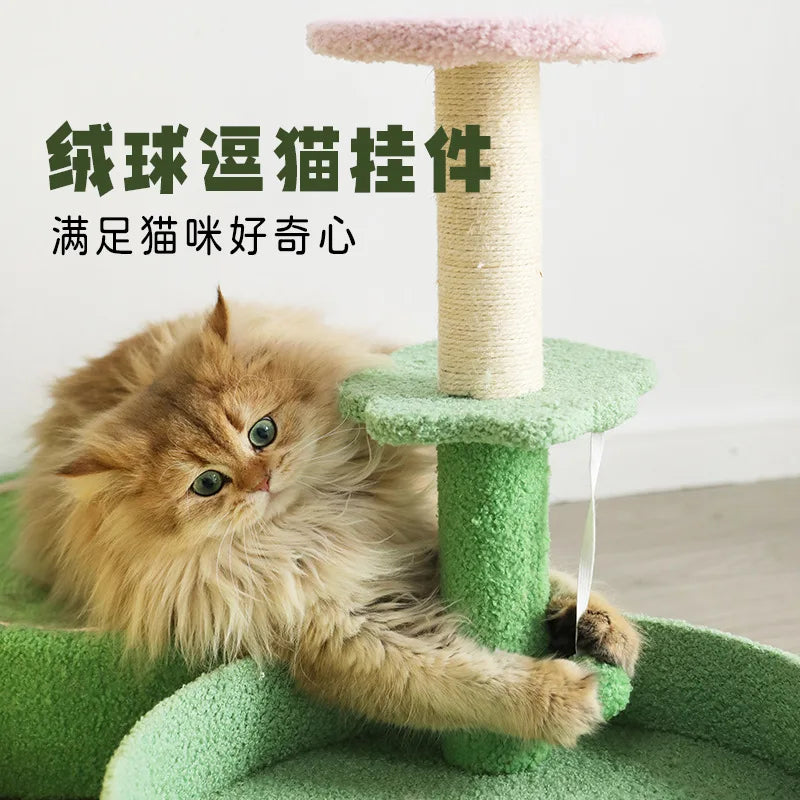 Arbre à Chat Teddy Compact Jouet Sisal Doux
