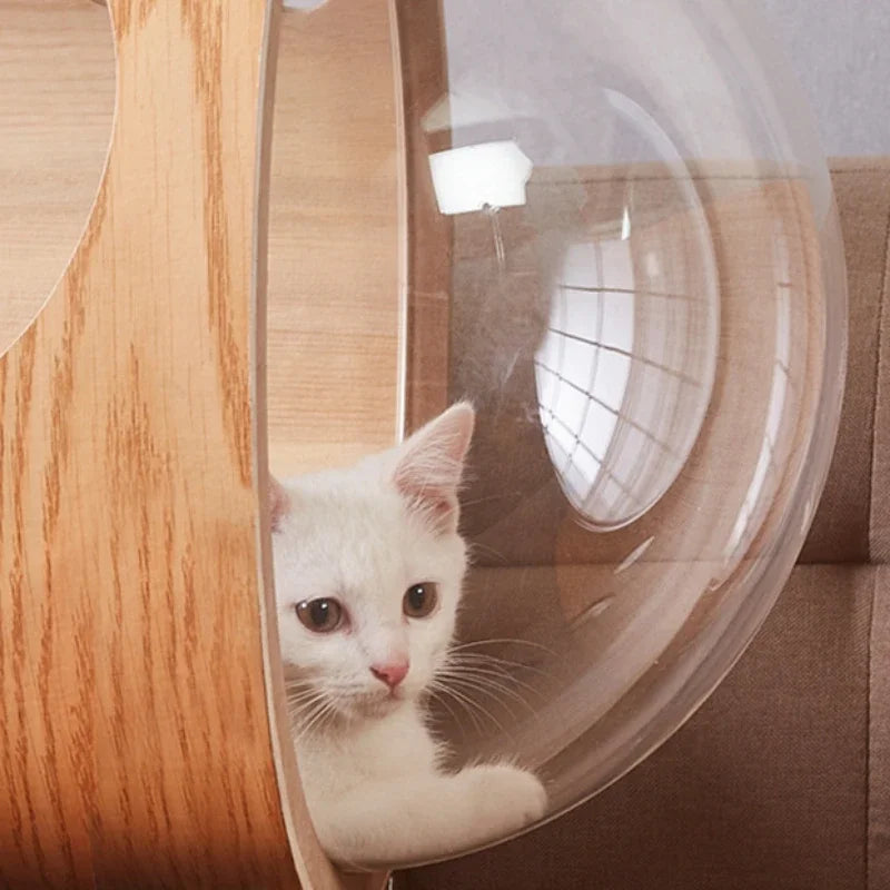 Arbre à Chat Design Bois & Sisal avec Dôme Observatoire