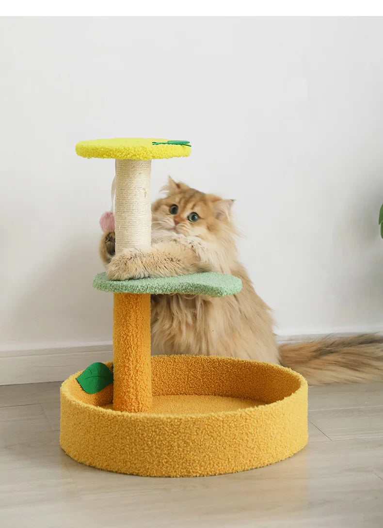 Arbre à Chat Teddy Compact Jouet Sisal Doux
