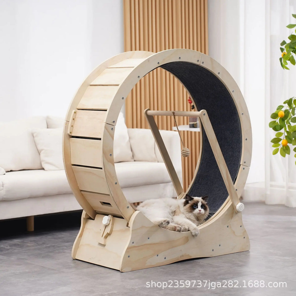 Roue de Course Silencieuse en Bois pour Chat