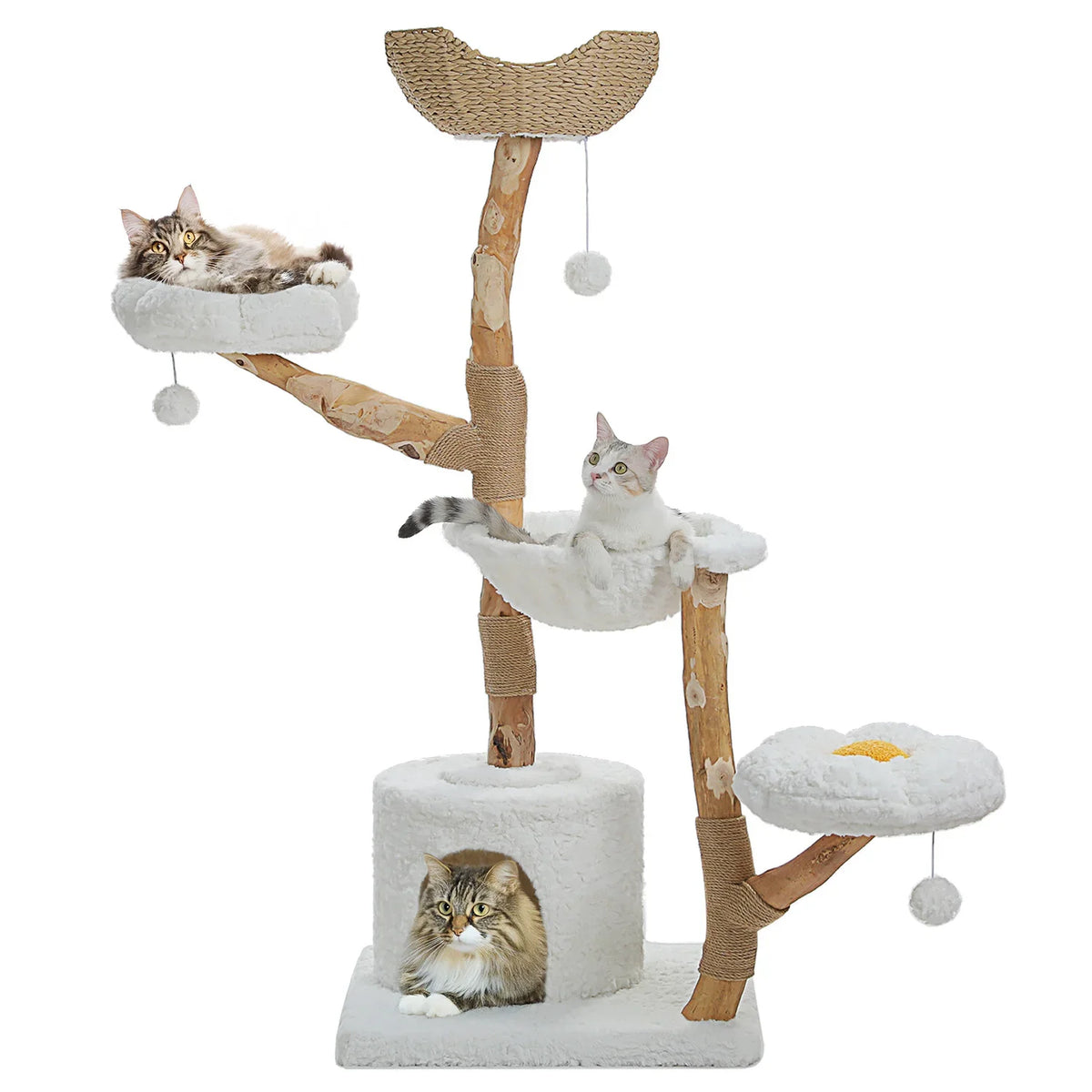 Arbre à Chat Design "Le Jardin Suspendu" 150cm Bois Massif