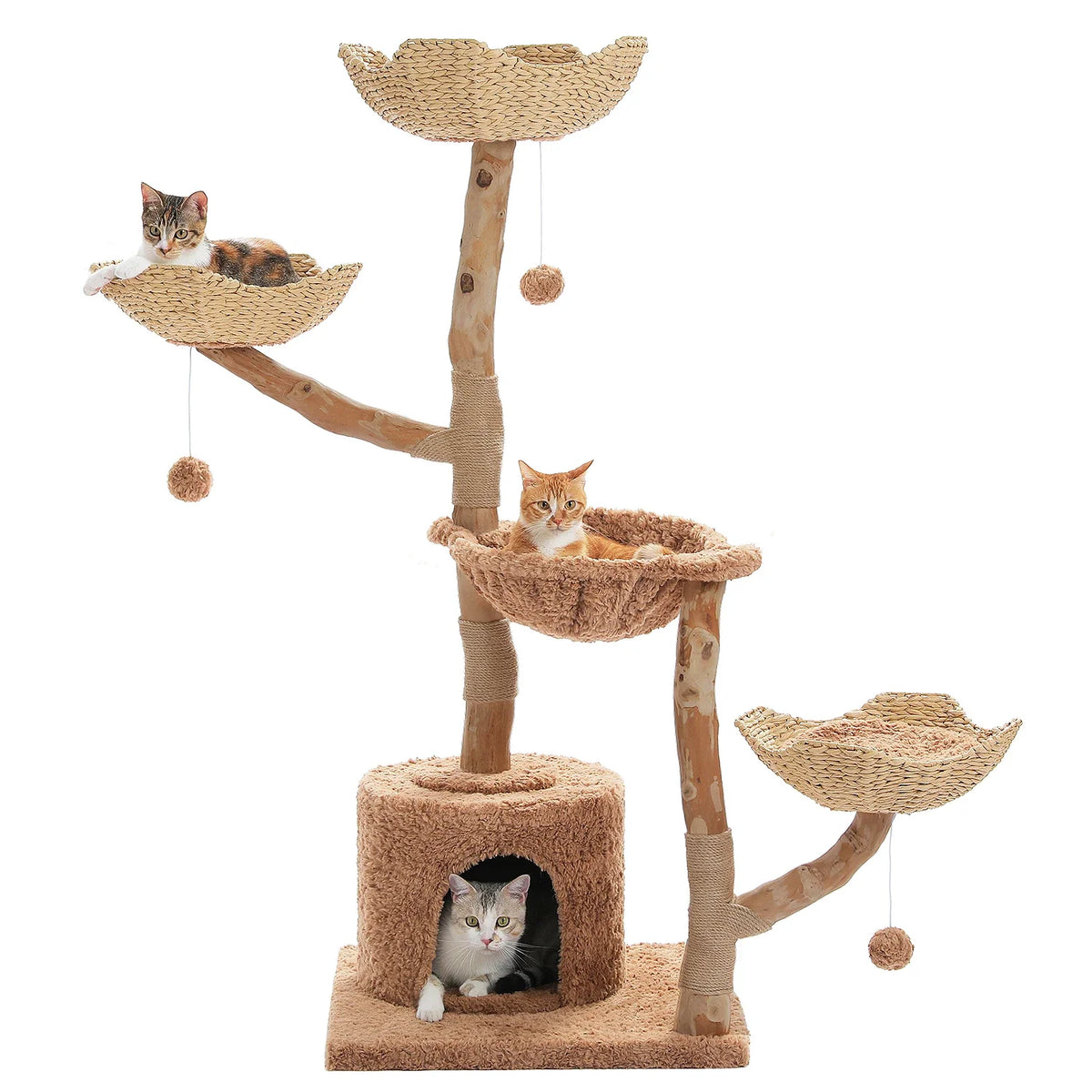 Arbre à Chat Design "Le Jardin Suspendu" 150cm Bois Massif