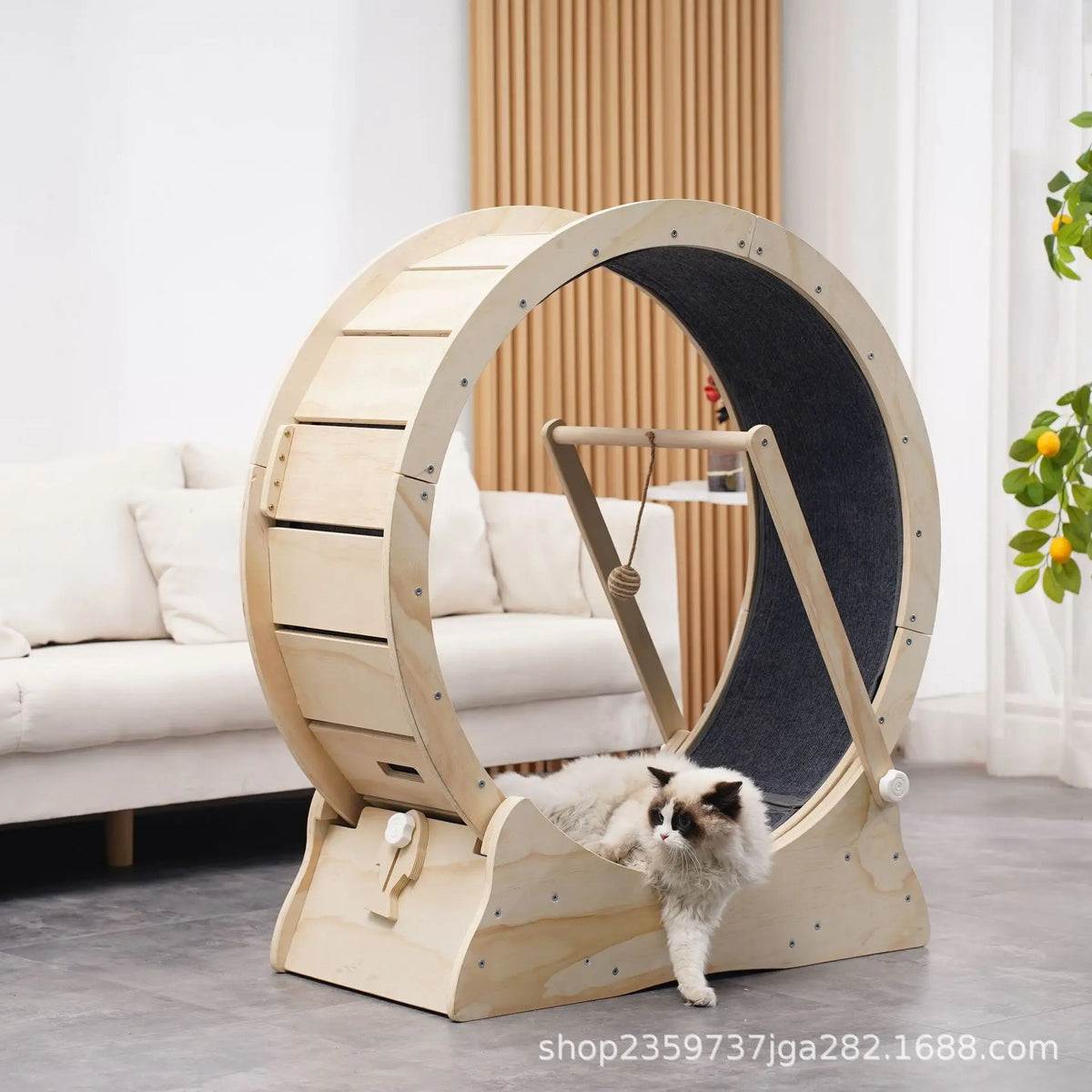Roue de Course Silencieuse en Bois pour Chat