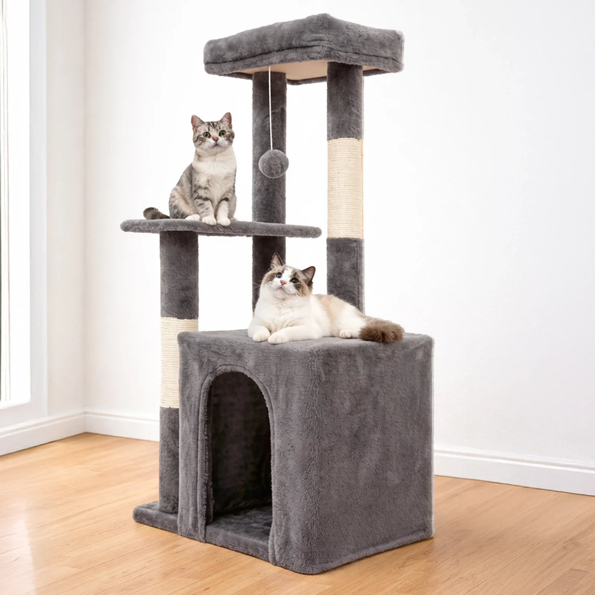 Arbre à Chat Petit Duplex Design Minimaliste