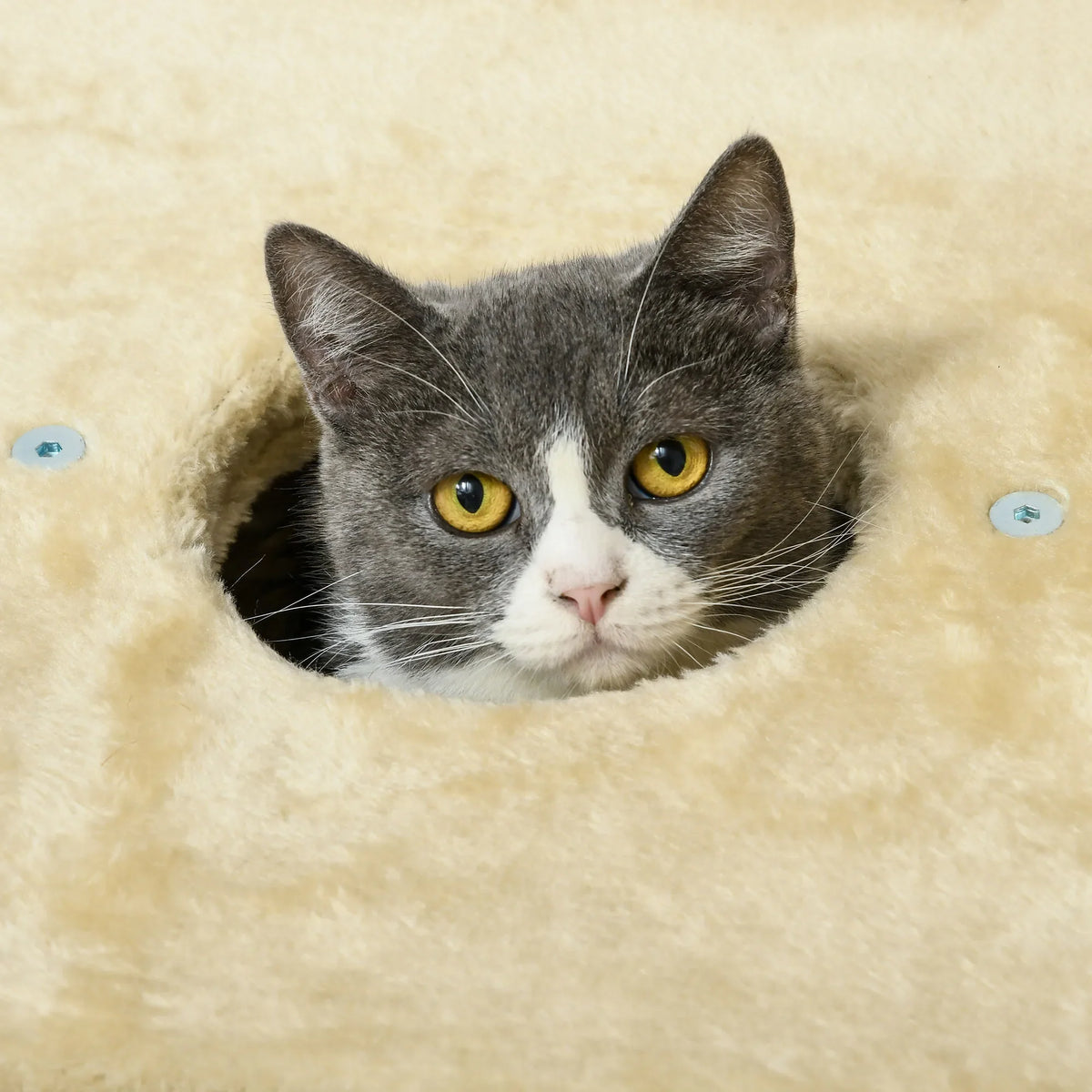 Arbre à Chat Bohème Beige 74cm