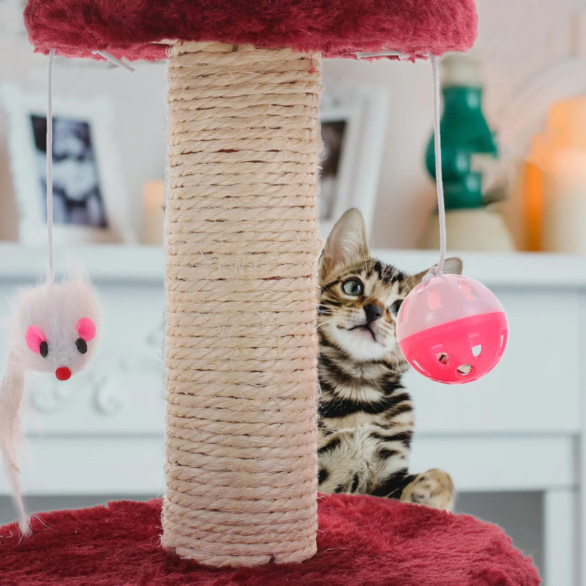 Arbre à Chat PatteDouce Beige Petit Sisal