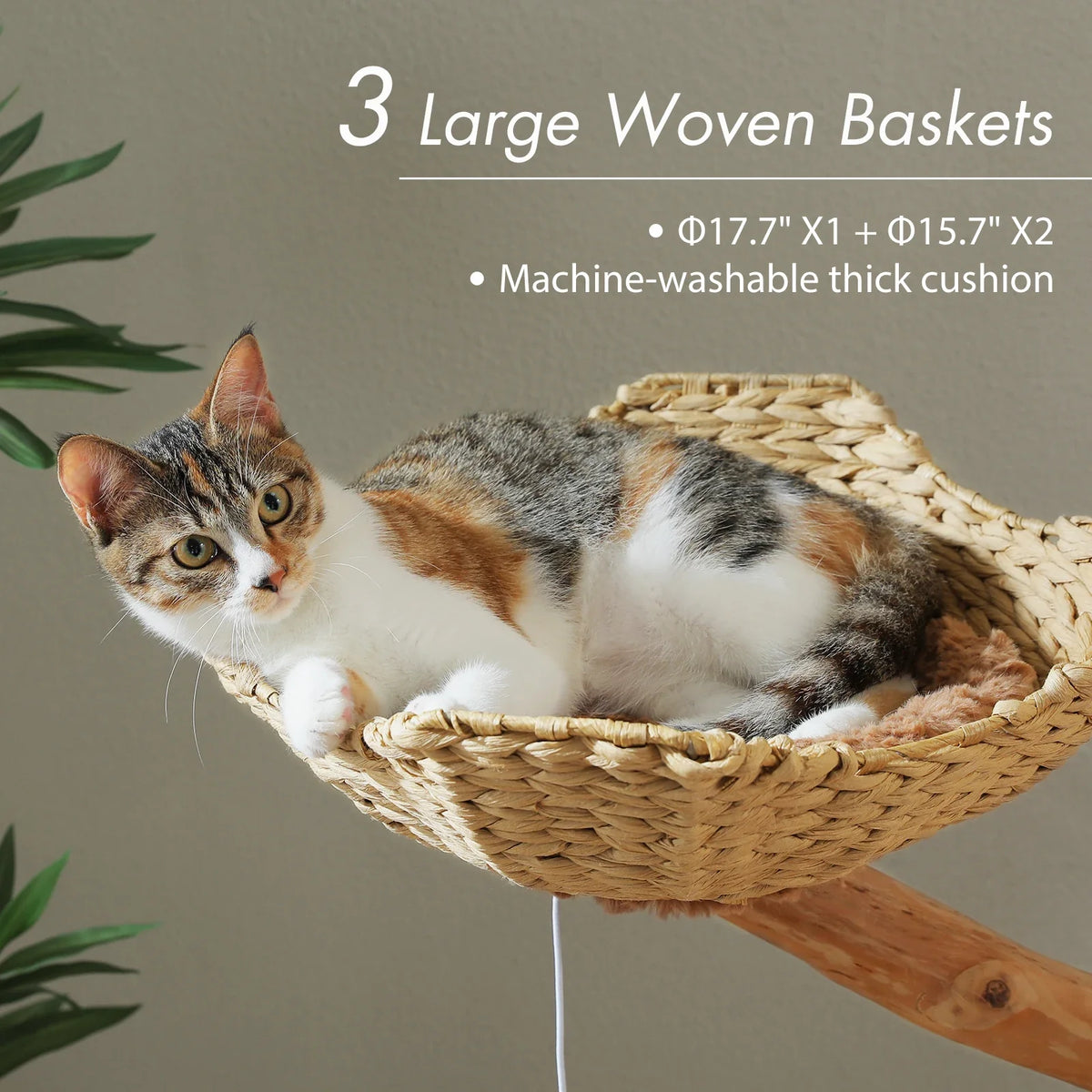 Arbre à Chat Design "Le Jardin Suspendu" 150cm Bois Massif