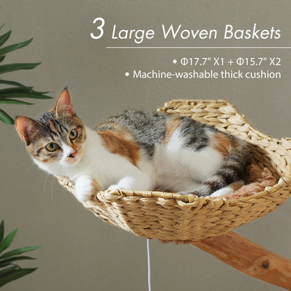 Arbre à Chat Design "Le Jardin Suspendu" 150cm Bois Massif